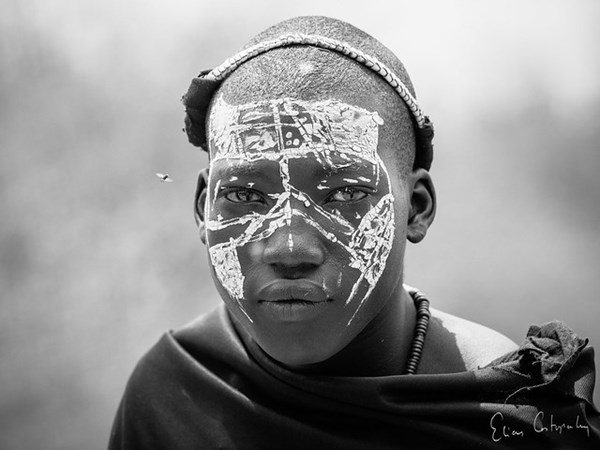 Een nyangulo op de weg van Serengeti naar Arusha